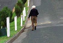 Pedestrians - When you see older people on or near the road, you should: